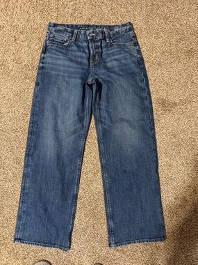 American Eagle Outfitters Men's Dark Blue Straight Jeans
